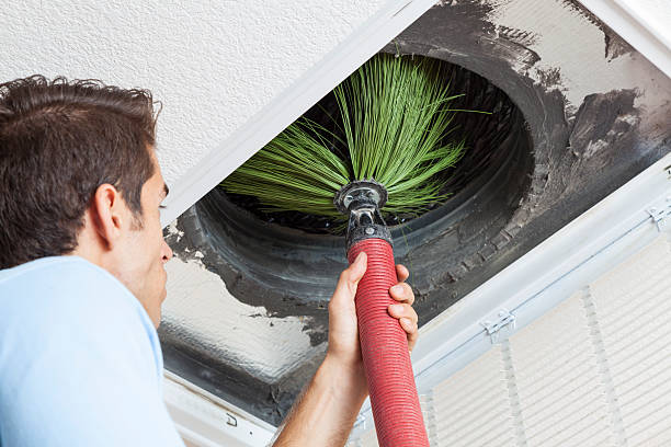 Best Home Air Vent Cleaning  in Rogers City, MI